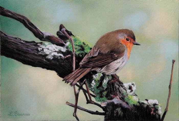 Peinture d'oiseau par Laurence Saunois, artiste peintre animalier