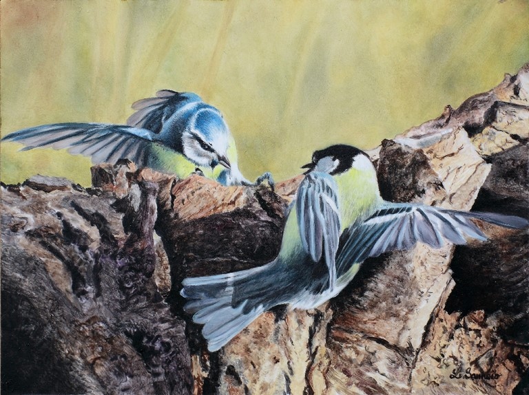 Bird painting by Laurence Saunois, wildlife artist