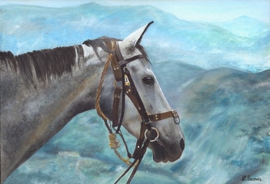 Peinture de cheval par Laurence Saunois, artiste peintre animalier