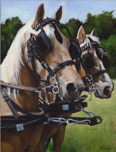 Cheval - Peinture de deux chevaux Palominos" par Laurence Saunois, artiste peintre animalier