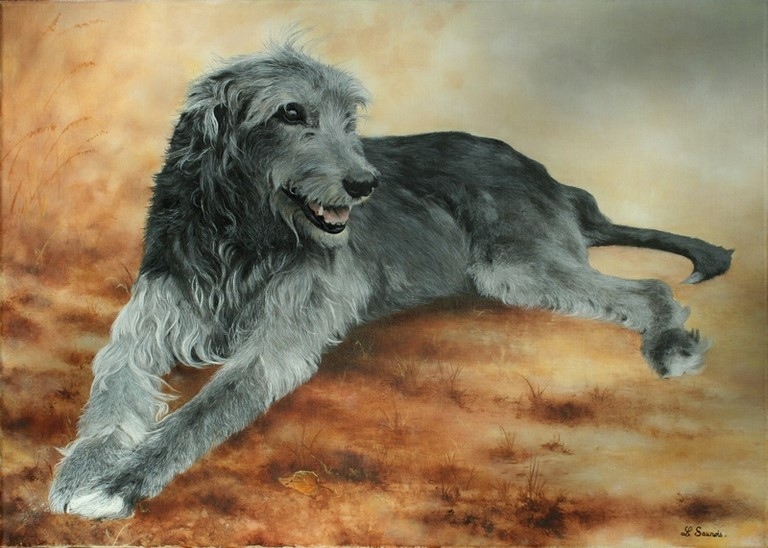 Tableau de lévrier irlandais par Laurence Saunois, artiste peintre animalier