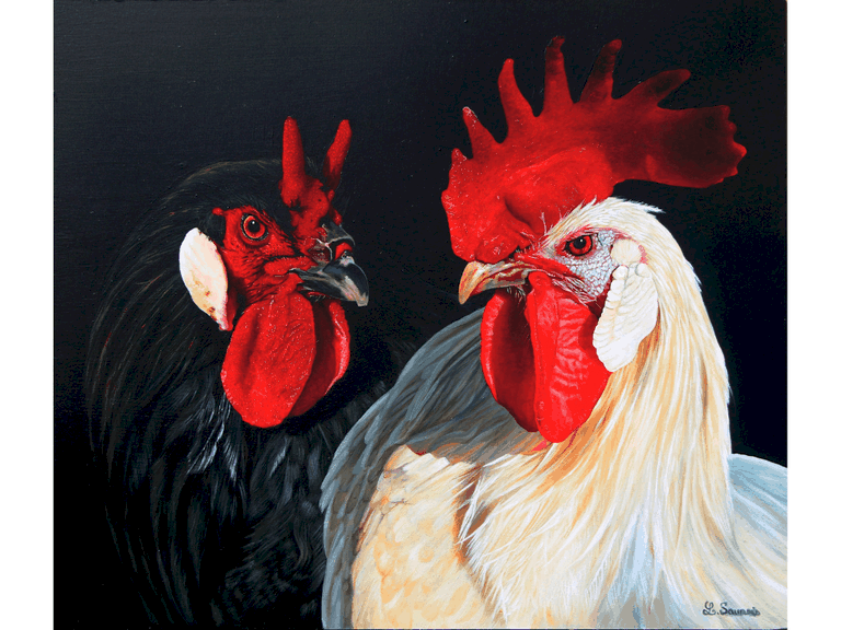 Tableau de coqs par la peintre animalier Laurence Saunois