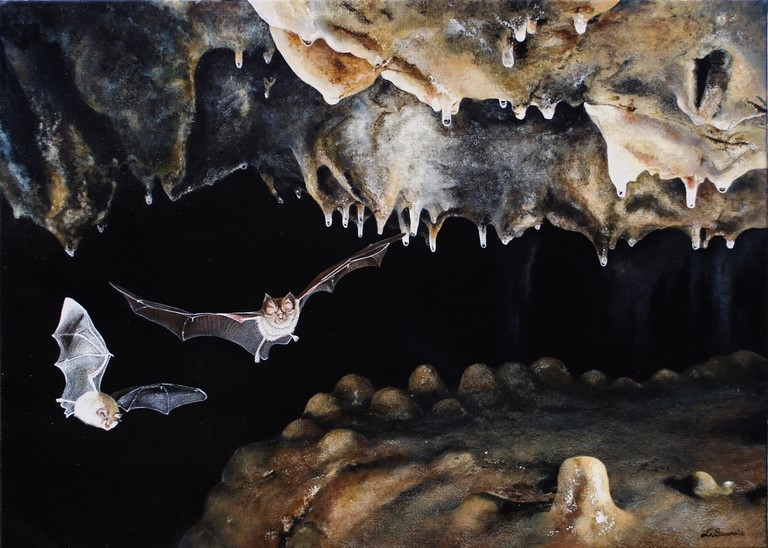 Tableau de rhinolophes et grotte : peintre animalier Laurence Saunois