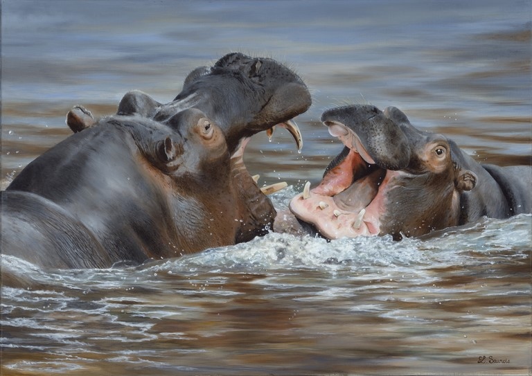 Hippopotamus painting by Laurence Saunois, wildlife artist