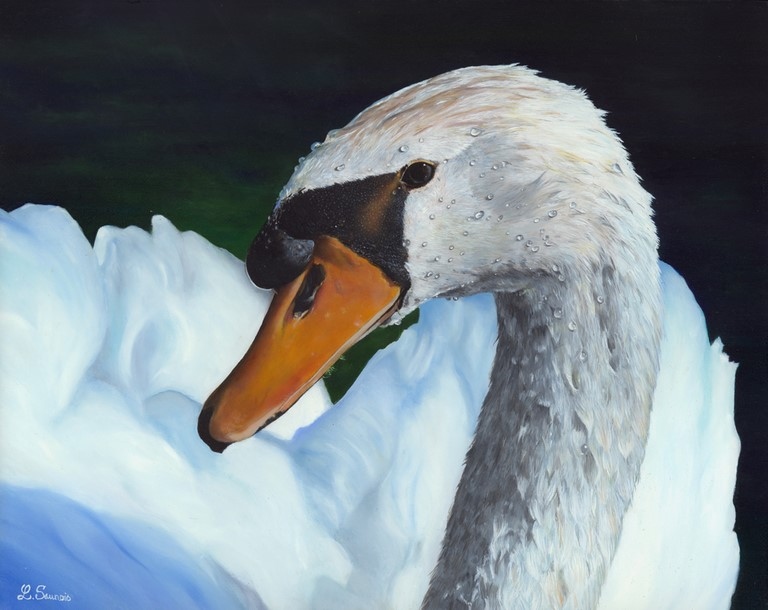 Peinture de cygne par Laurence Saunois, artiste peintre animalier