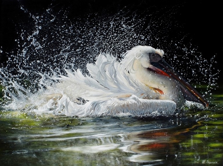 Bird painting by Laurence Saunois, wildlife artist