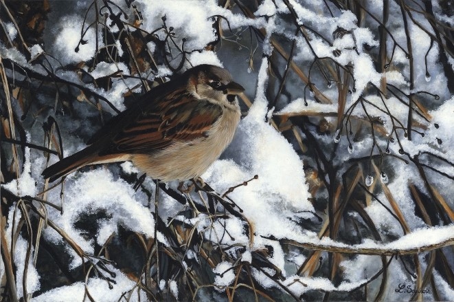 Bird painting by Laurence Saunois, wildlife artist