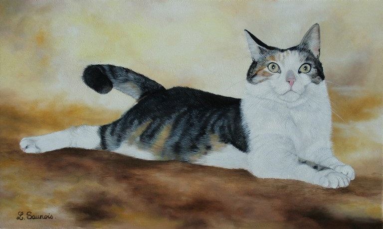 Tableau de chat couché réalisé par laurence Saunois artiste animalier