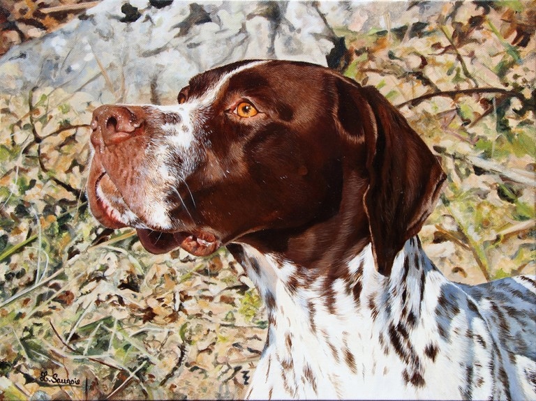 Tableau de Chien par Laurence Saunois, artiste peintre animalier