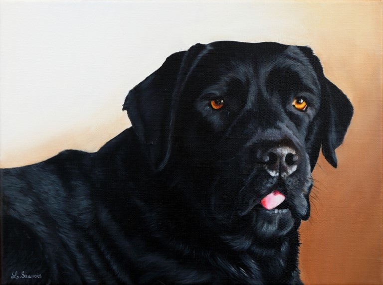 Tableau de chien - labrador noir - par Laurence Saunois, peintre animalier