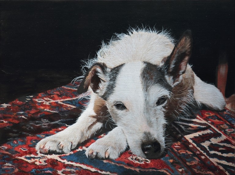 Tableau de Chien sur un tapis par Laurence Saunois, artiste peintre animalier