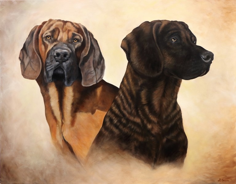 Tableau De Chiens Réalisé Par Laurence Saunois Artiste Animalier