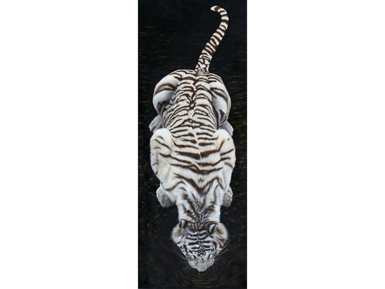Peinture de tigre blanc en train de boire : peintre animalier Laurence Saunois