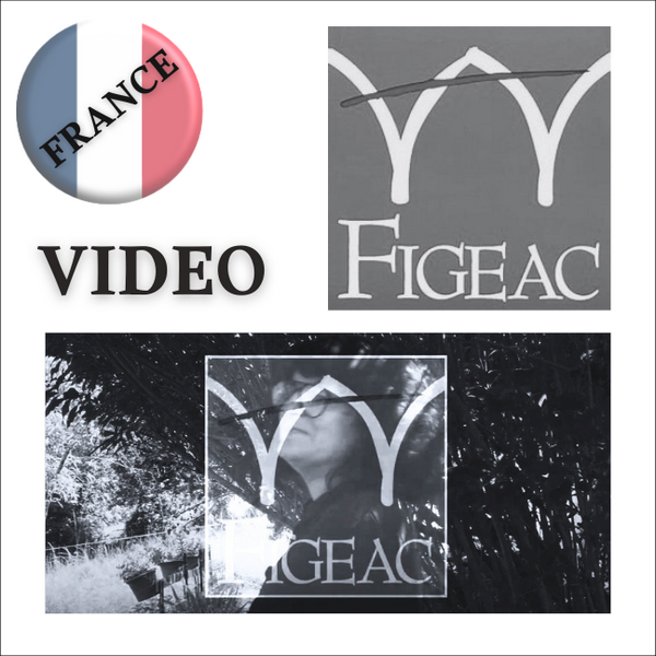 Vidéo de la Ville de Figeac - Nympheus Luminansis & Laurence Saunois