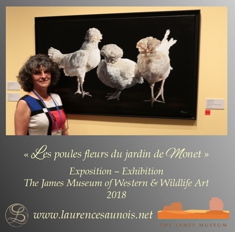 Exposition aux USA - Laurence Saunois, peintre animalier