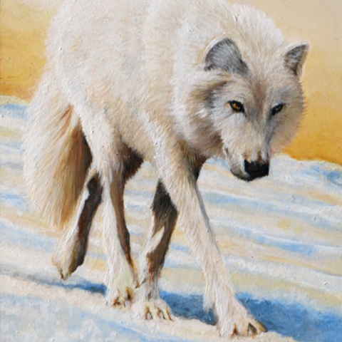Peinture miniature d'un loup blanc qui marche par Laurence Saunois