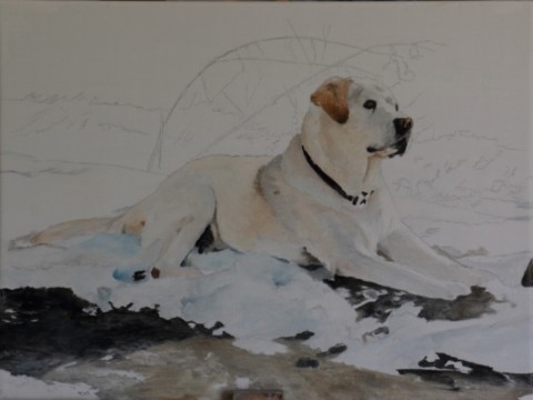 art-process-labrador-retriever-oil - dog