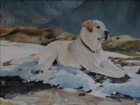 art-process-labrador-retriever-oil - First layer