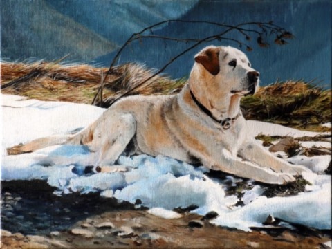 art-process-labrador-retriever-oil