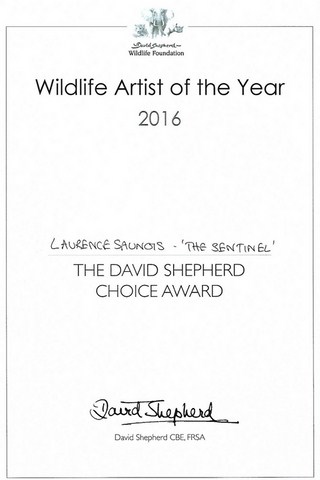 David Shepherd Wildlife Artist of the Year - Laurence Saunois, artiste peintre animalier