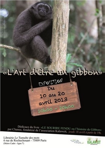 Affiche de l'exposition "L'art d'être un gibbon" avec muriel robin, Chanee et Laurence Saunois pour kalaweit