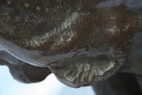 Sculpture en bronze d'un buste de labrador par l'artiste Laurence Saunois