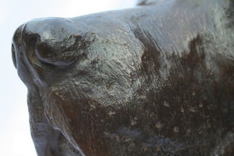 Sculpture en bronze d'un buste de labrador par l'artiste Laurence Saunois