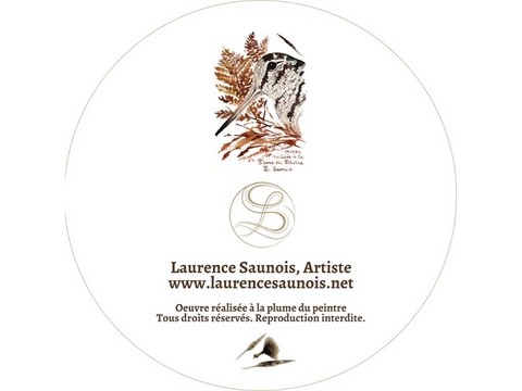 Boite à plumes du peintre en fer : artiste Laurence Saunois -45-verso