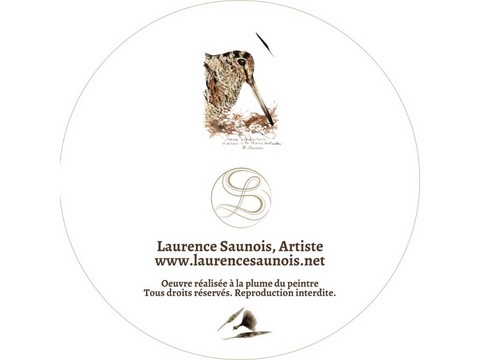 Iron woodcock's feather box: artist Laurence Saunois -51-verso
