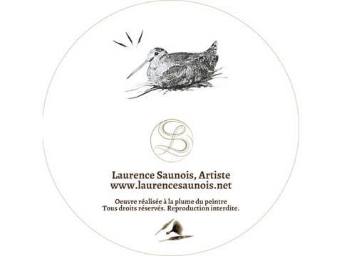 Iron woodcock's feather box: artist Laurence Saunois -PP46-verso
