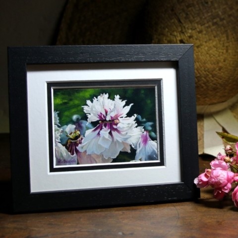 Peinture miniature d'une pivoine arbustive encadré