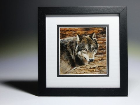 Peinture miniature de loup réalisée par la peintre animalier Laurence Saunois