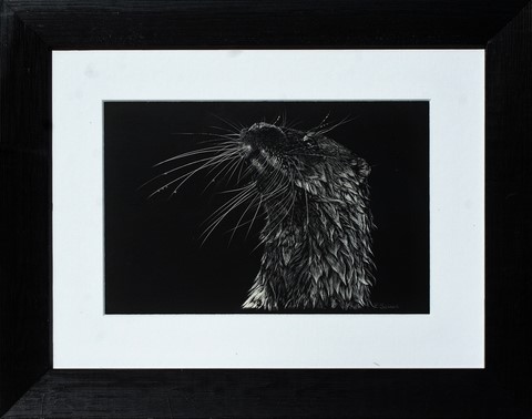 Scratchboard de loutre d'Europe encadré par Laurence Saunois, peintre animalier