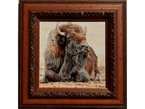 Tableau encadré de bison par Laurence Saunois, peintre animalier