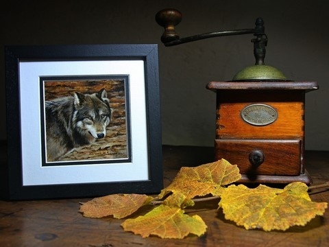 Peinture miniature de loup  encadré réalisée par la peintre animalier Laurence Saunois