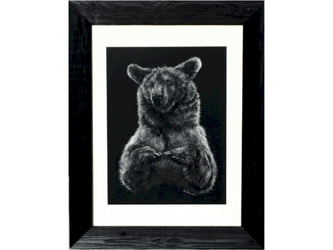 Cadre - Scratchboard d'Ours des Pyrénées par Laurence Saunois, artiste peintre animalier