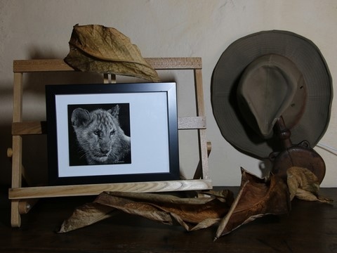 Cadre - Scratchboard de lionçeau par Laurence Saunois, peintre animalier