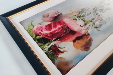 Peinture d'escargot encadré par Laurence Saunois, artiste peintre animalier