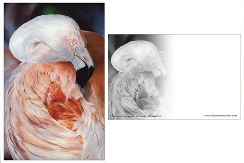 Carte Postale - Peinture d'oiseau (flamant rose) par Laurence Saunois, peintre animalier
