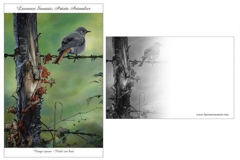 Carte Postale - Peinture d'un rouge-queue par la peintre animalier Laurence Saunois