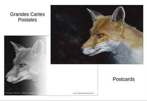 Grande carte postale de renard par la peintre animalier Laurence Saunois
