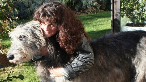 La peintre animalier Laurence Saunois avec un chien de race Wolfhund