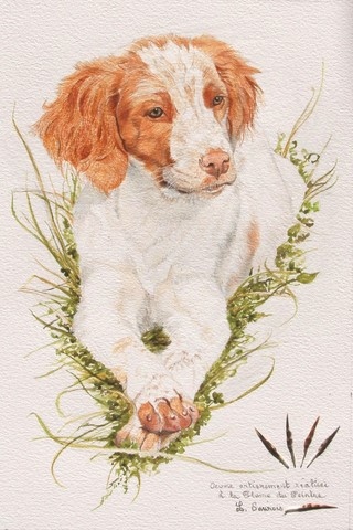 Woodcock feather drawing of a young dog by wildlife artist Laurence Saunois