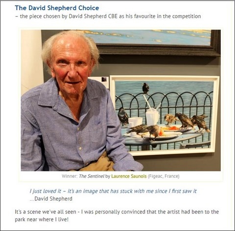 David Shepherd Choice award - David Shepherd wildlife artist of the year 2016  - laurence Saunois, artiste animalier