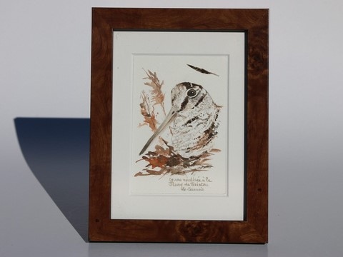 Dessin de bécasse encadré réalisée à la plume du peintre par Laurence Saunois, peintre animalier (pp35)
