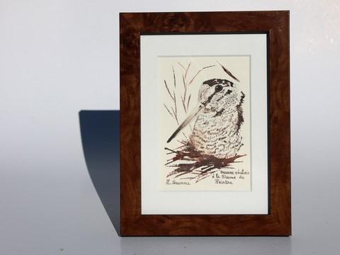 Woodcock drawn with a woodcock's feather by Laurence Saunois, animal artist - framed. (pp49)