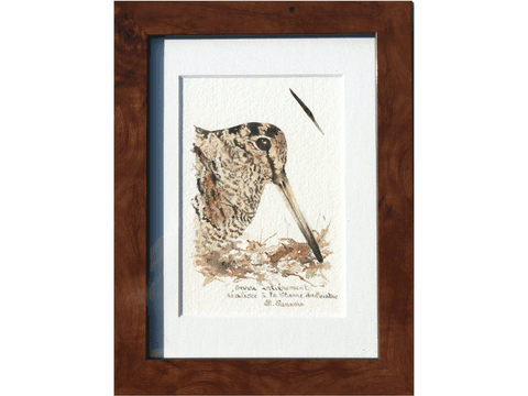 Woodcock drawn with a woodcock's feather by Laurence Saunois, animal artist - frame (pp51)