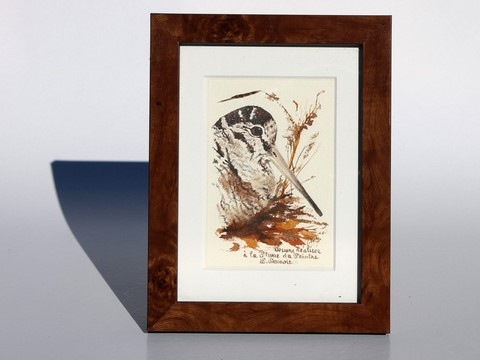 Woodcock drawn with a woodcock's feather by Laurence Saunois, animal artist - frame. (pp36)