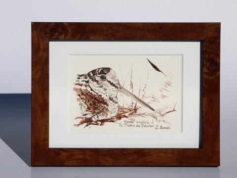 Woodcock drawing, framed, done with a woodcock feather by Laurence Saunois, animal artist.