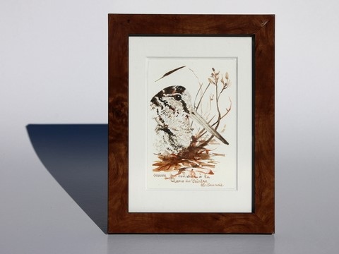 Dessin de bécasse encadré réalisée à la plume du peintre par Laurence Saunois, peintre animalier